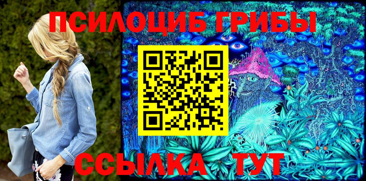 Омск  Псилоцибиновые грибы GOLDEN TEACHER  Псилоцибиновые грибы Psilocybine cubensis  Вход с VPN 
