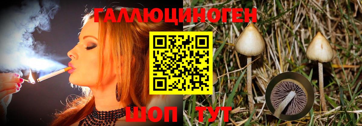 Псилоцибиновые грибы ЛСД Омск